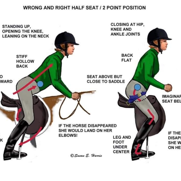 Meet your Posher, Sandra - Picture 1 of 2